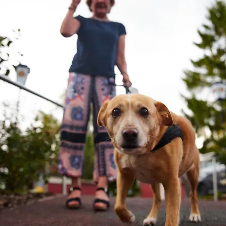 Flair Landgasthof Roger 3* Löwenstein